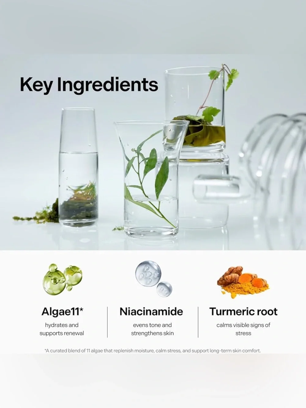 Coeternal Instant Glow Mist Moisturizing Face Spray with Niacinamide 120ml